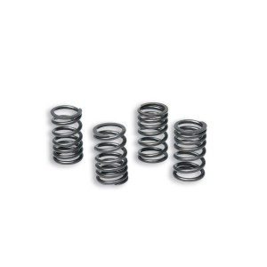 Clutch spring kit Malossi | Minarelli AM6