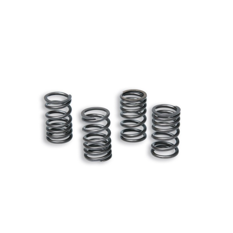 Clutch spring kit Malossi | Minarelli AM6