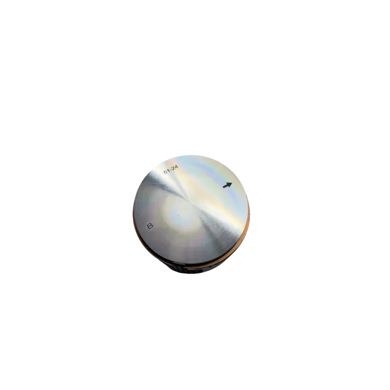 Piston Fantic oem | Fantic XE 300 2024+