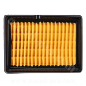 Filtre à air CF Moto MT 800