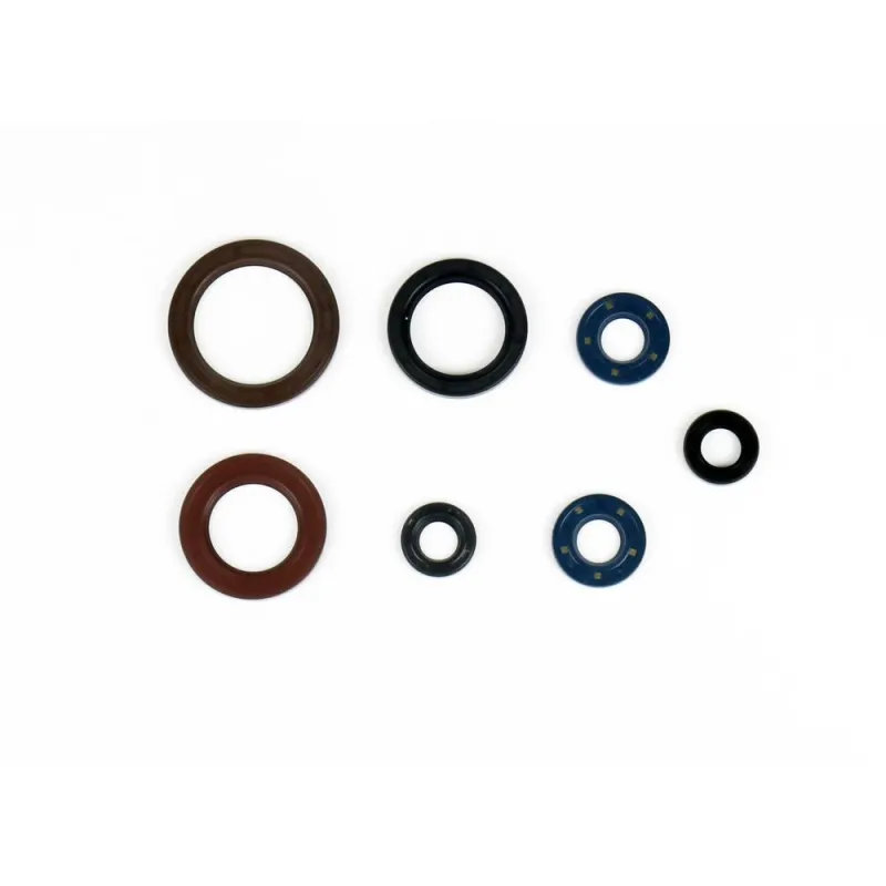 Motor-Dichtring kit Ktm-Husqvarna