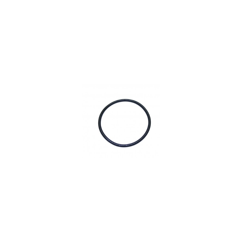 O-ring Marmitta in Vinton 3908