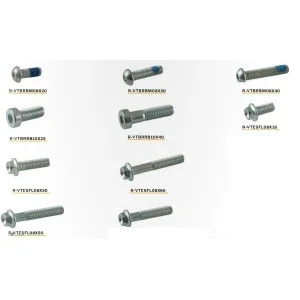 Viteria speciale Acciaio Racetech 687