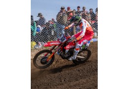 MXGP: 1a Prova (Argentina-Risultati)