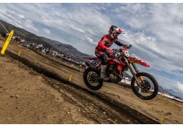 MXGP: Rubate le Ducati del Team Beddini Racing